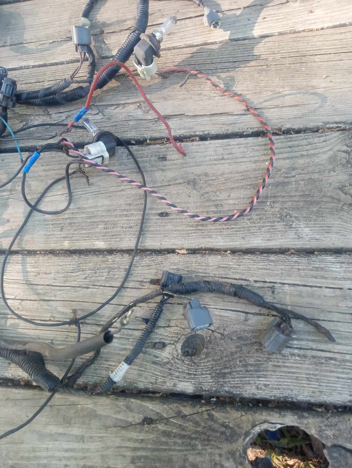 2004-2007 Acura TL Headlight Wiring Harness OEM Tested