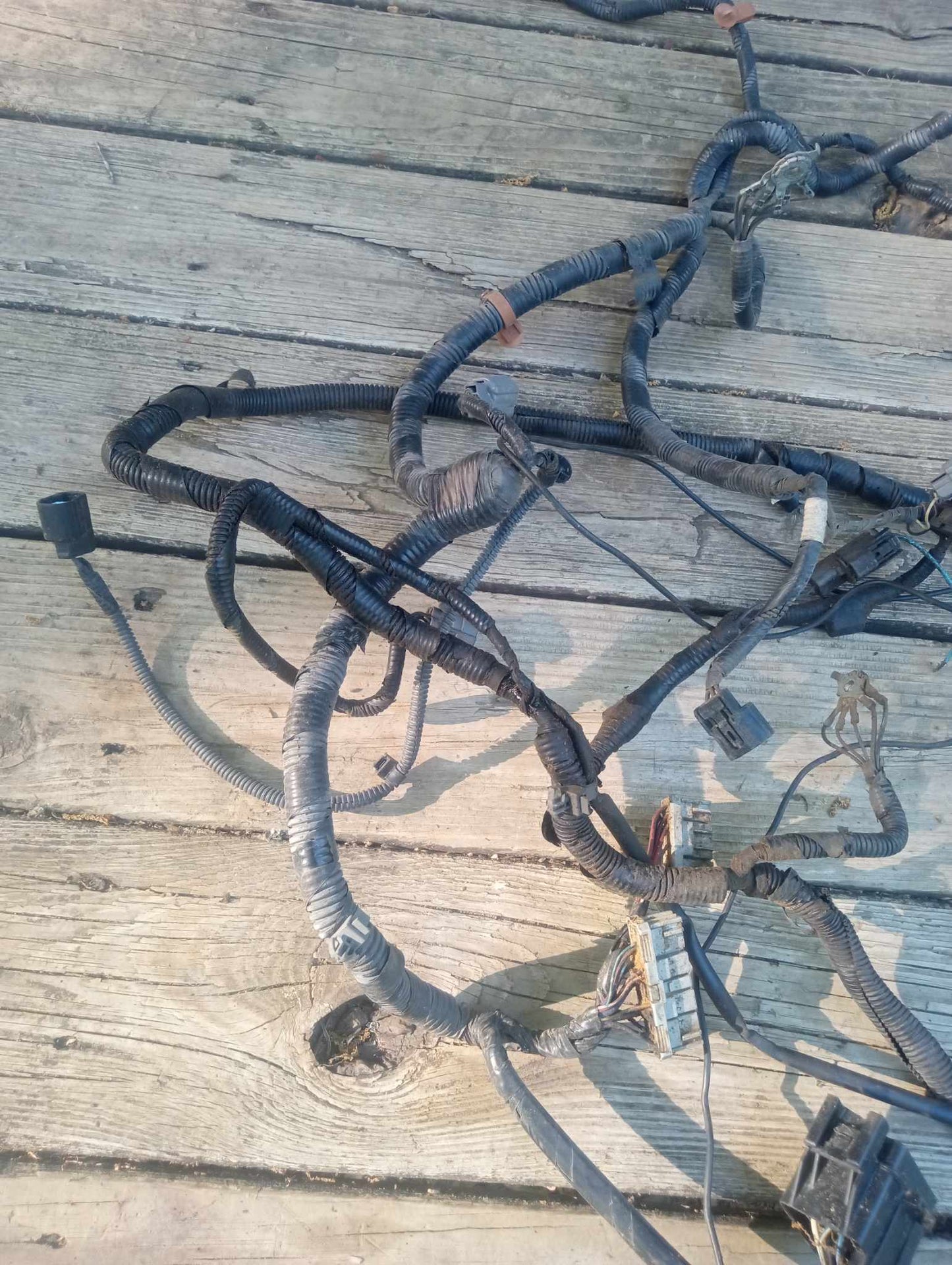 2004-2007 Acura TL Headlight Wiring Harness OEM Tested