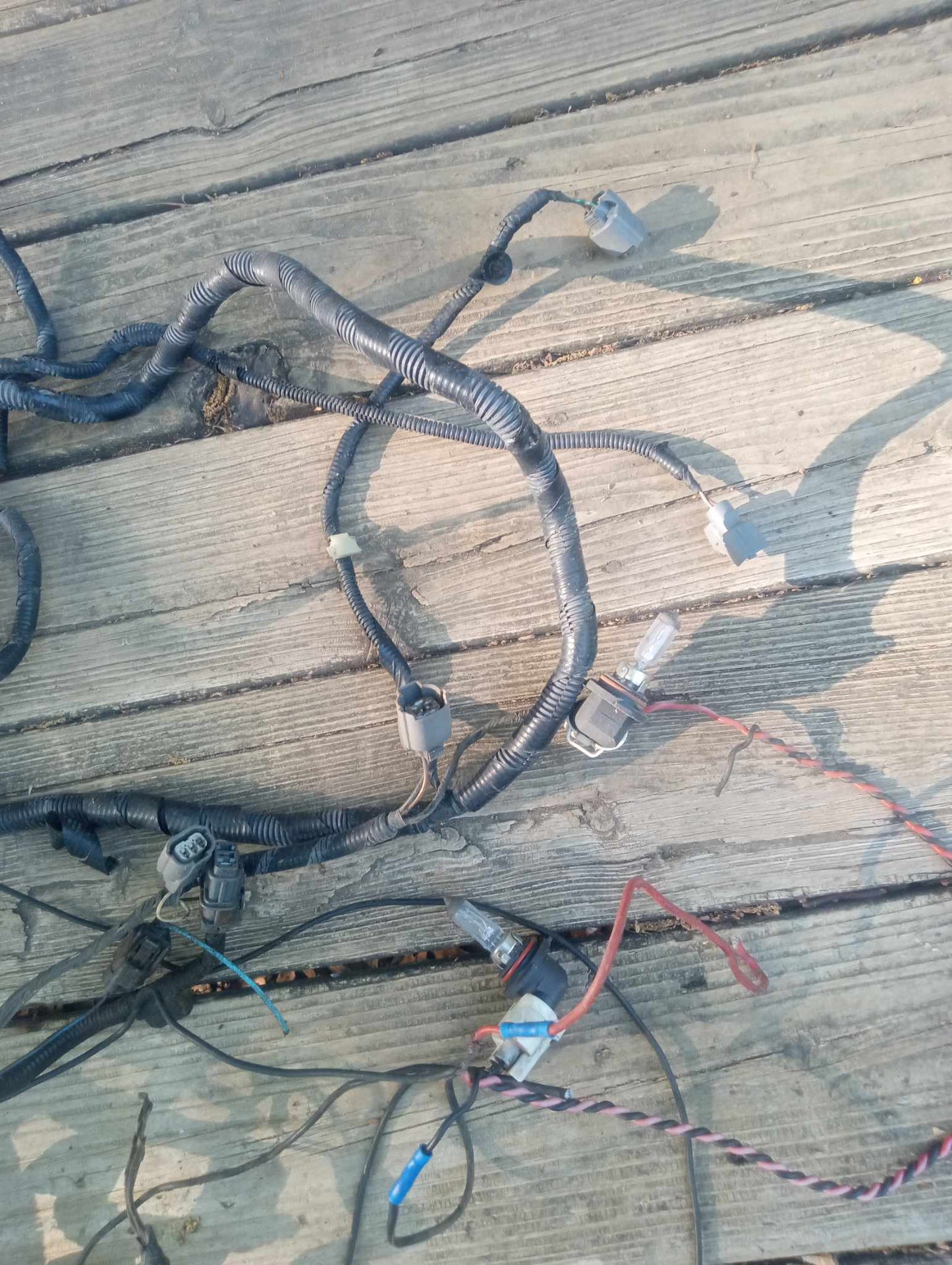 2004-2007 Acura TL Headlight Wiring Harness OEM Tested