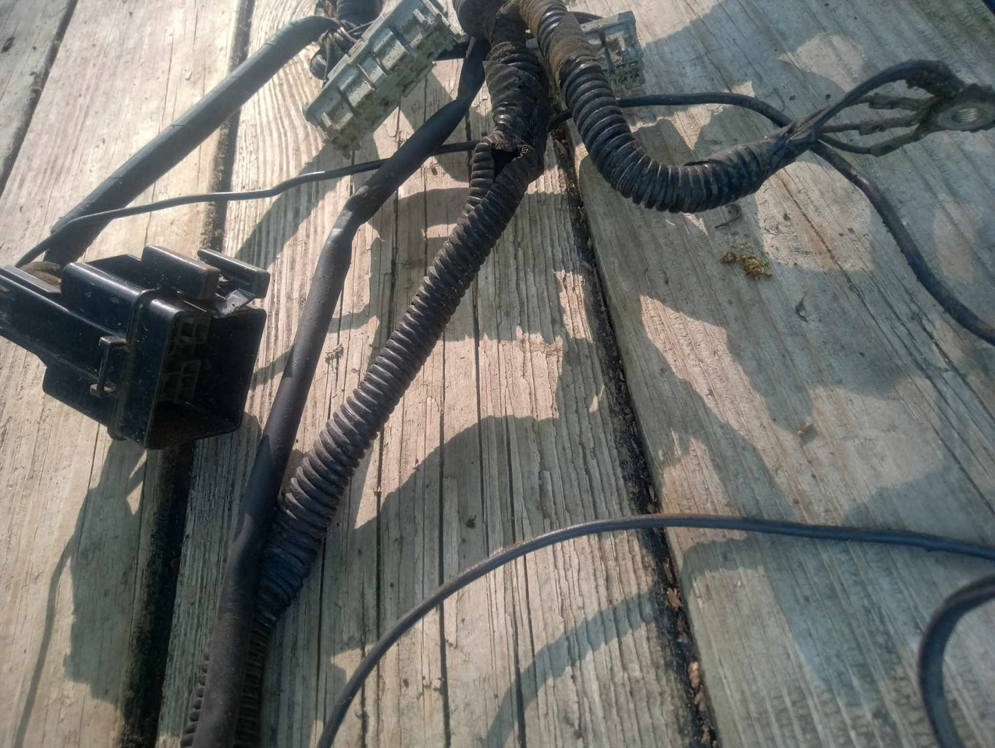 2004-2007 Acura TL Headlight Wiring Harness OEM Tested