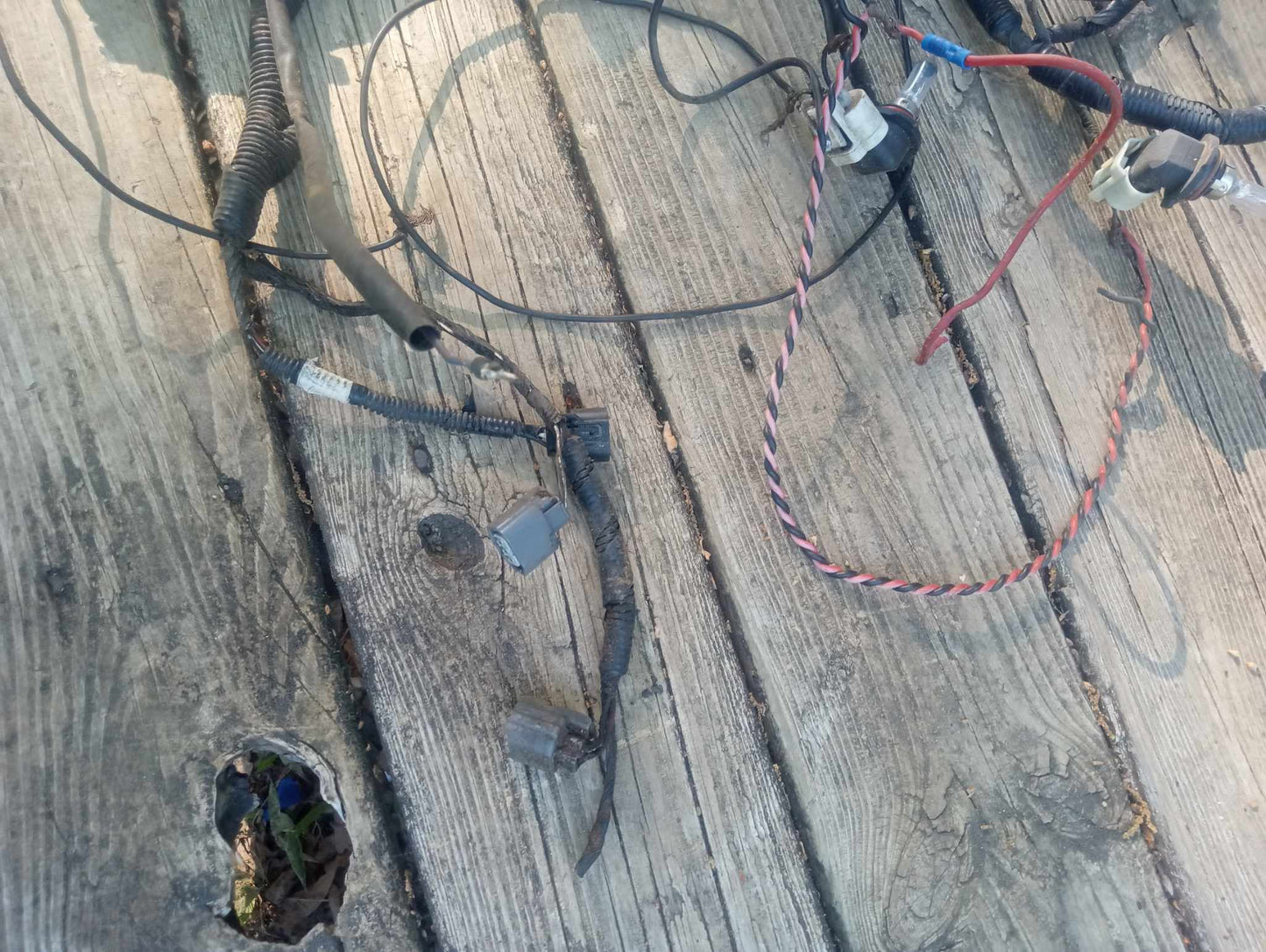 2004-2007 Acura TL Headlight Wiring Harness OEM Tested